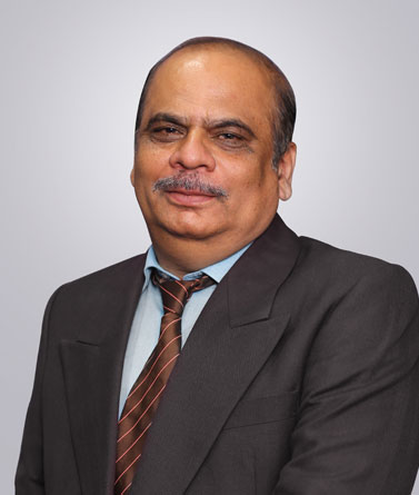 Mr. Narendra Tambe, Business Unit Head